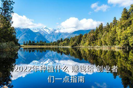 2022年种植什么 赚钱给 创业者们一点指南