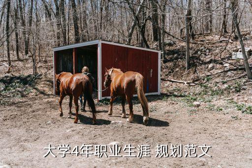 农业系大学四年规划怎么写,机器人工程大学四年规划怎么写
