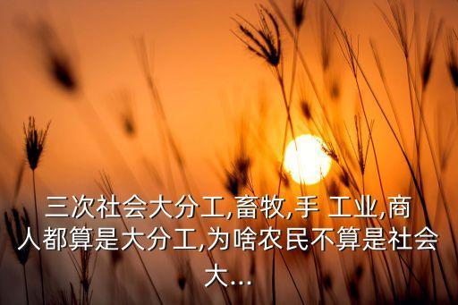 三次社会大分工,畜牧,手 工业,商人都算是大分工,为啥农民不算是社会大...
