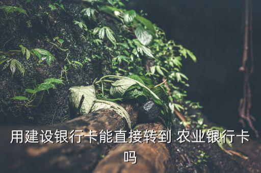建行转农业怎么办理,手机建行转农业要多久到账