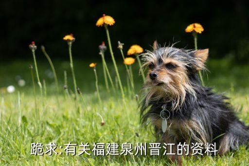 勇盛农业有限公司怎么样,金妈妈农业科技有限公司怎么样