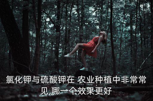 农业什么钾肥好,农业用钾肥执行标准