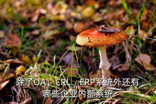 伟峰农业公司怎么样,伟峰纸品公司怎么样