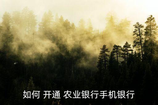 怎么在农业柜台开通,农业银行卡怎么开通