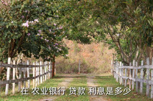 农业补贴贷款利息怎么算,请问贷款利息怎么算啊