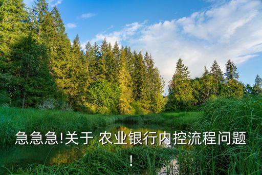 农业项目整改通知怎么写,农业种植项目计划书怎么写