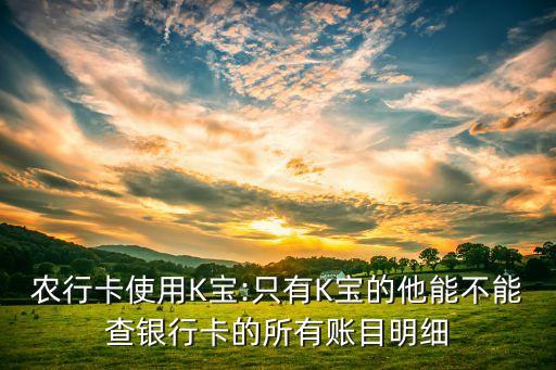 农业k宝怎么查交易记录