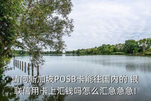 新币怎么存入农业银联