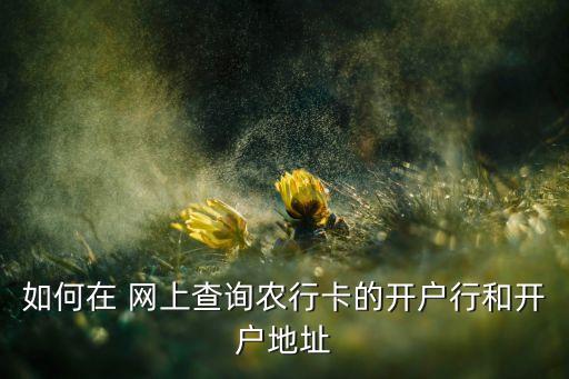 农业银行网上银行怎么定位,下载农业银行手机网上银行