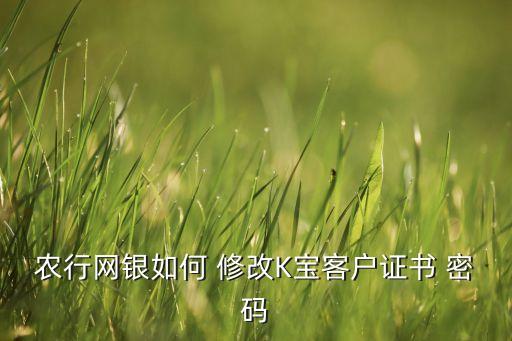 农行网银如何 修改K宝客户证书 密码