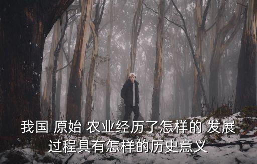 原始农业怎么发展,初一历史原始农业的发展