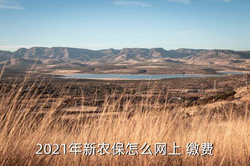 农业保险怎么线上缴费