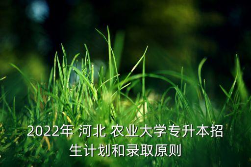 河北农业大学怎么报名