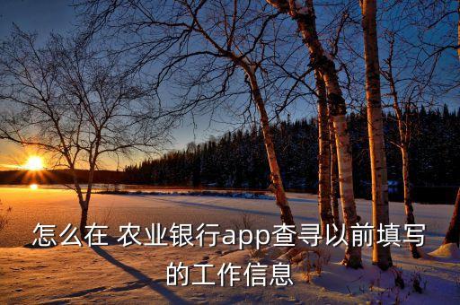 怎么在 农业银行app查寻以前填写的工作信息
