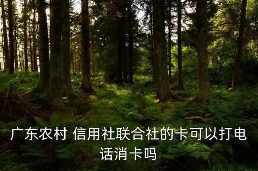农业信用社卡怎么注销,信用社卡注销需要到哪办理?