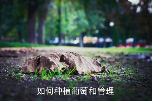 潭州农业学院菜怎么选,潭州教育农业学院