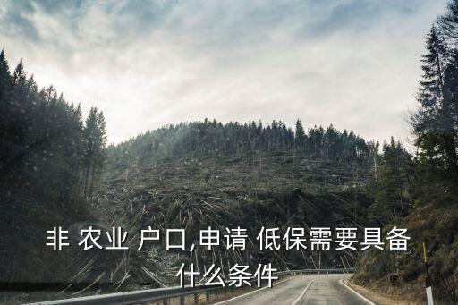 没有农业户口怎么办理低保,非农业户口办理低保的要求是什么