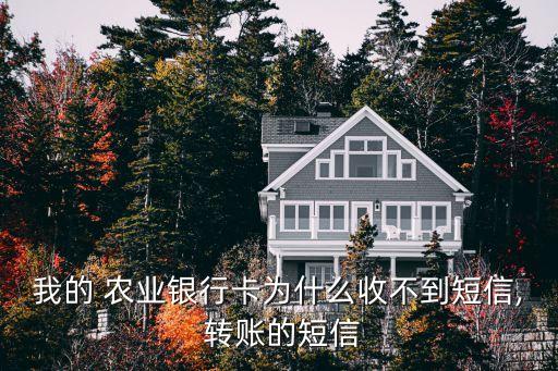农业银行怎么收到转账消息,手机收到农业银行提示转账信息