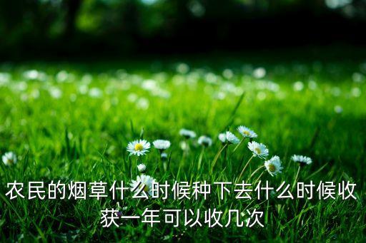 农业项目用的烟怎么