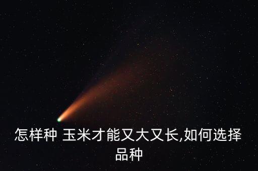 农业玉米种子怎么选种的,佳禾农业玉米种子z658