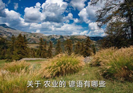 农业春节谚语怎么写好呢
