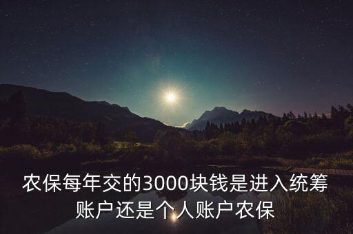 农保每年交的3000块钱是进入统筹账户还是个人账户农保