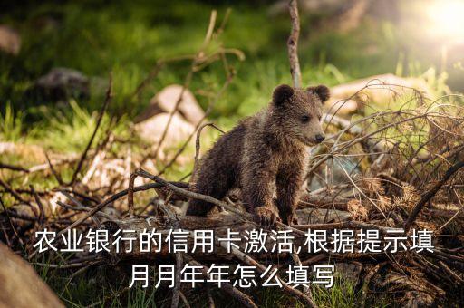 农业银行发卡行怎么写
