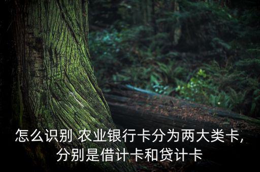 怎么判断卡是不是农业卡