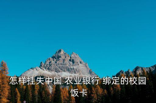 学校饭卡怎么绑定农业银行,农业银行学校饭卡消费记录