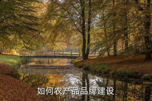 农业公司的品牌形象怎么写,企业品牌形象和现状分析怎么写