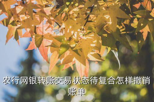 农业银行怎么消除支出