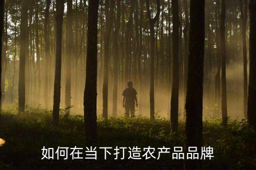 产业升级品牌农业怎么引领