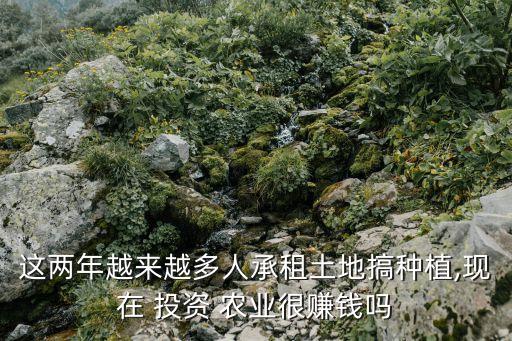 为什么有多人投资农业,现在的人为什么要投资