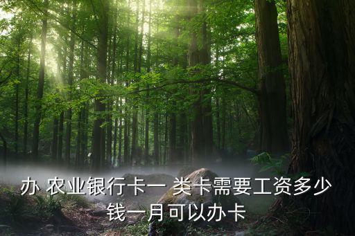农业1类卡怎么办理,农业vip卡办理条件