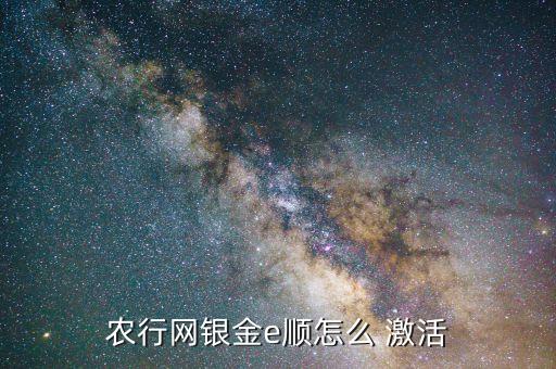 农行网银金e顺怎么 激活