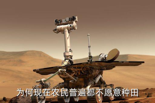 为什么都不爱学农业,孩子什么都不爱学只喜欢玩