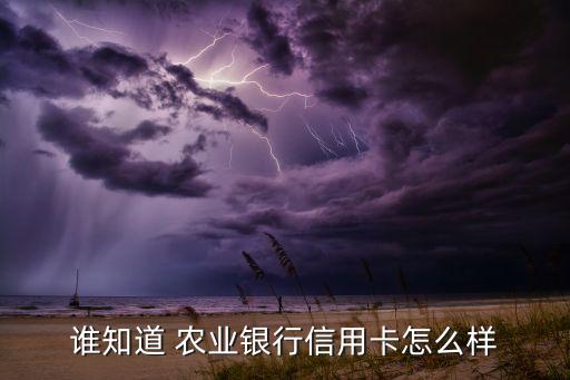 谁知道 农业银行信用卡怎么样