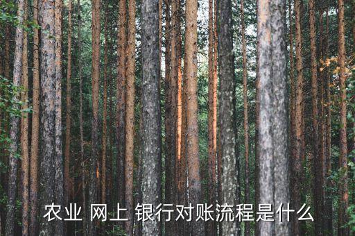 农业网上银行怎么操作步骤,客户激活网上银行手机银行的操作步骤