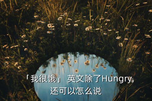 饥饿农业方案英文怎么说,保持饥饿保持寒冷的英文怎么说