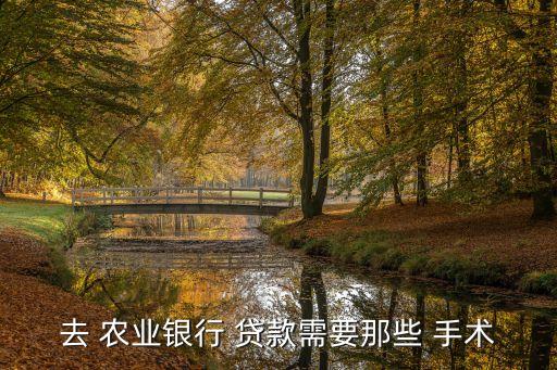 农业银行手术贷款怎么贷