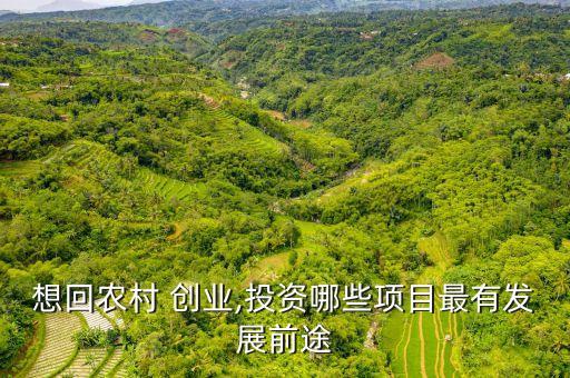 想回农村 创业,投资哪些项目最有发展前途