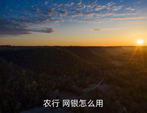 农业银行办企业网银怎么用