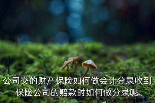 公司交的财产保险如何做会计分录收到保险公司的赔款时如何做分录呢