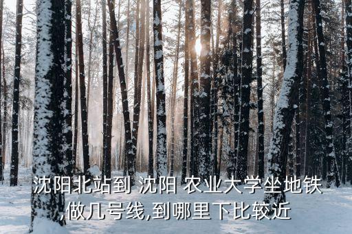 沈阳站到农业大学怎么乘车