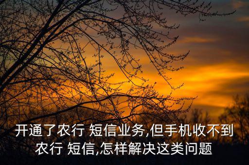 农业银行短信怎么有延迟