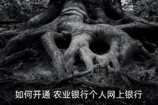 农业银行怎么开启