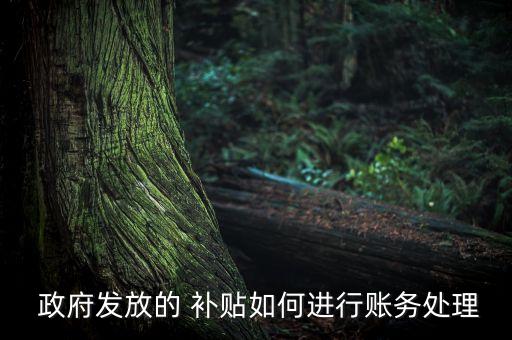 农业政府补贴怎么下账,甘肃省农业合作社政府补贴