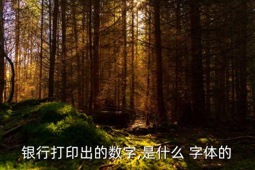 银行打印出的数字,是什么 字体的