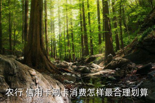 农业信用卡怎么用最好