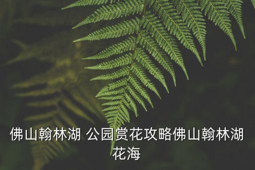 农业公园怎么拍视频,兰陵国家农业公园视频